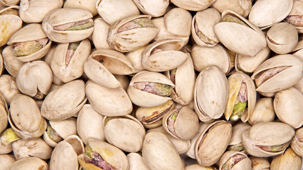 Pistacia vera