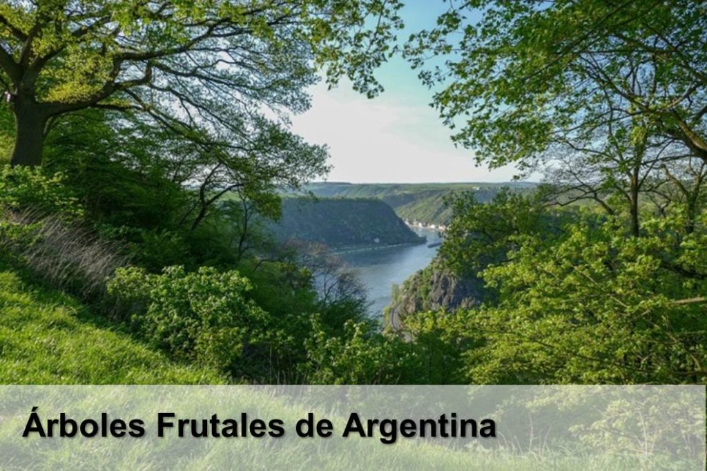 Árboles frutales de Argentina